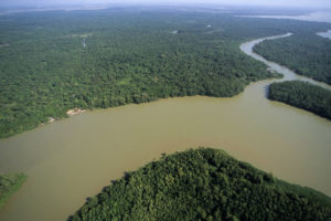 Paquete Amazon Rainforest Lodge Iquitos
