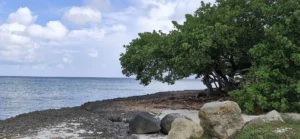 Semana Santa en Aruba