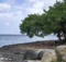 Semana Santa en Aruba