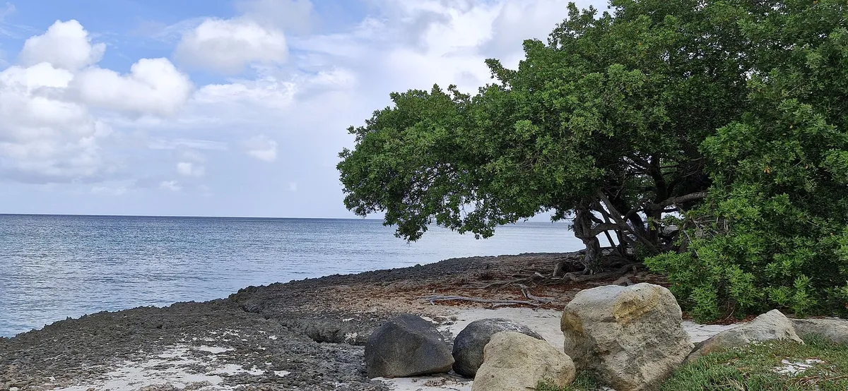 Semana Santa en Aruba